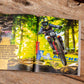 Hurly Burly 2025 – the downhill mountain bike yearbook