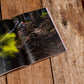 The World Stage 2025 – The Enduro Mountain Bike Yearbook