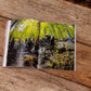The World Stage 2025 – The Enduro Mountain Bike Yearbook